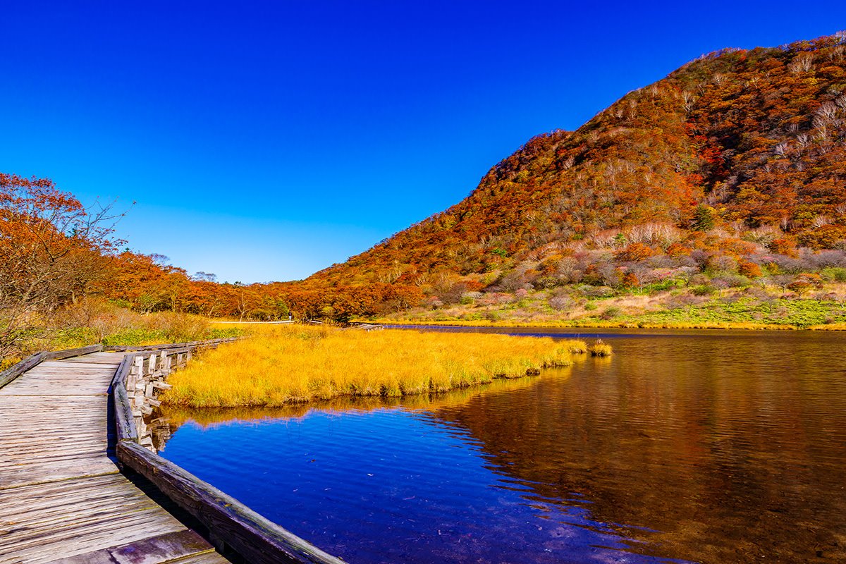 🌳 오무로 공원(오오무로 코엔) 이미지 7